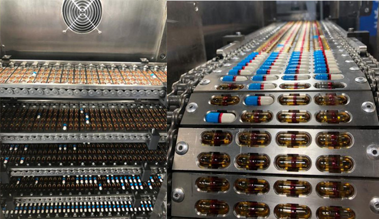 kaps&uuml;l dolum makinesi tedarik&ccedil;isi