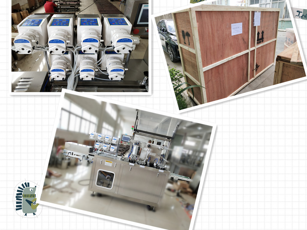 E Sıvı Yağ Paketleme Makinesi