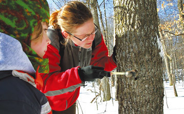 ak&ccedil;aağa&ccedil; şeker festivali
