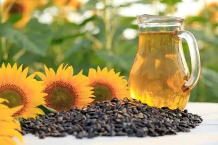 Ayçiçeği tohumu yağı neden sağlıklı?