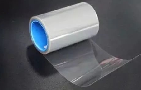 PVC'nin evcil hayvandan nasıl ayırt edilir