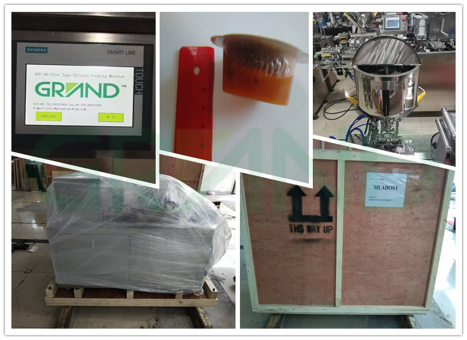 Re&ccedil;el i&ccedil;in Blister Paketleme Makinesi